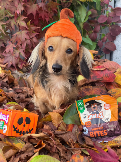 Halloween - Limited Edition Spooky Dog Treats