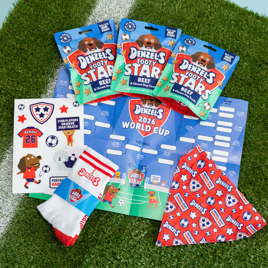 Matchday Supporters Kit