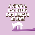 Duck, Puppy & Small Dentals 28-Pack