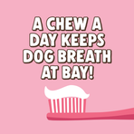 Salmon, Puppy & Small Dentals 28-Pack