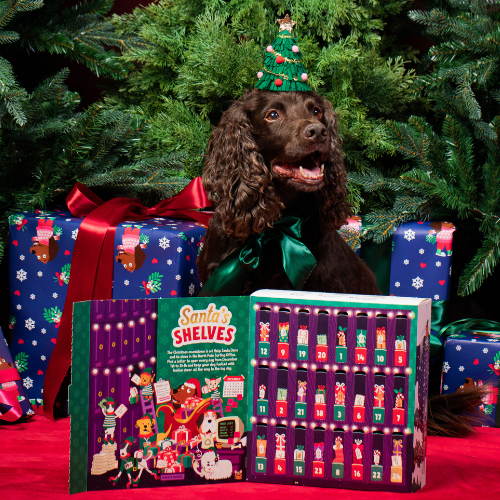 Advent Calendar