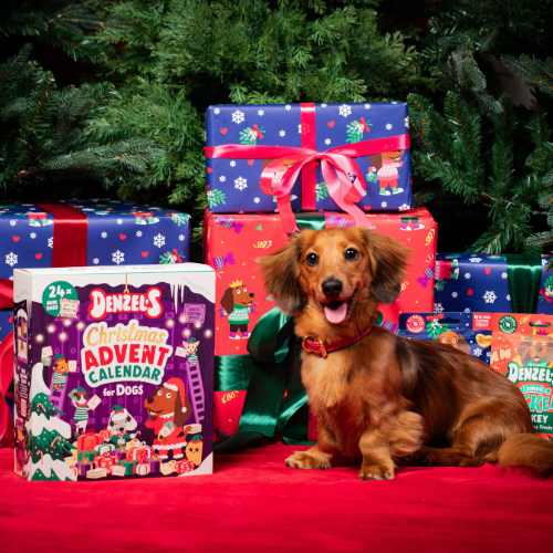 Advent Calendar