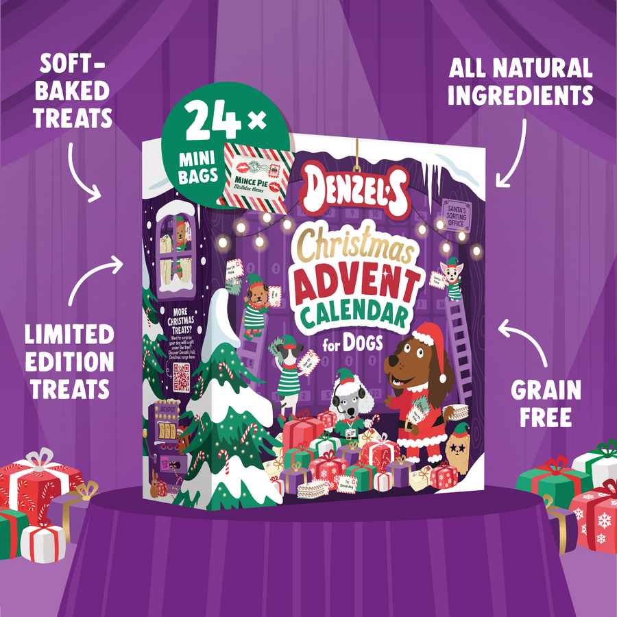 Denzel's advent calendar wrapped as a Christmas gift