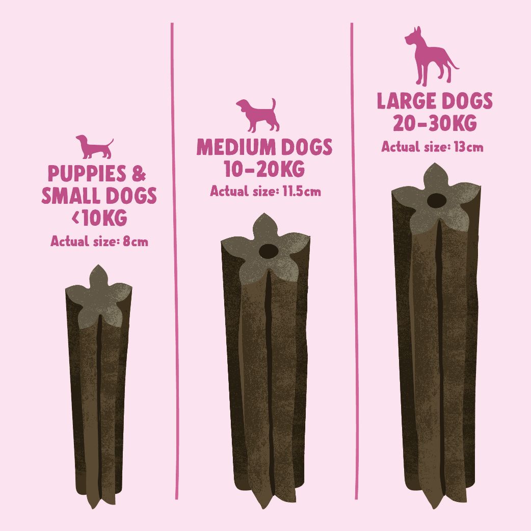 Salmon, Puppy & Small Dentals 7-pack