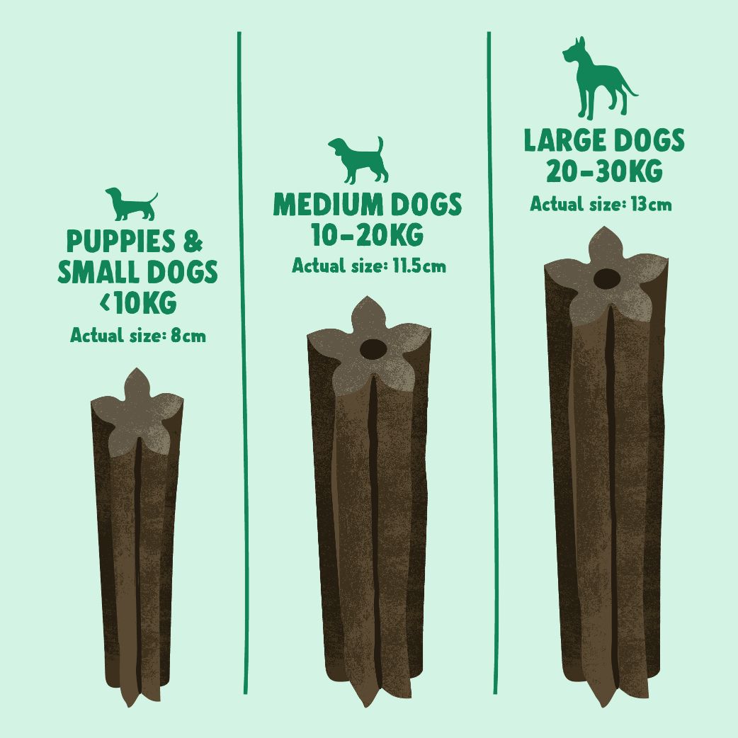 Vegan, Medium Dentals 5-pack