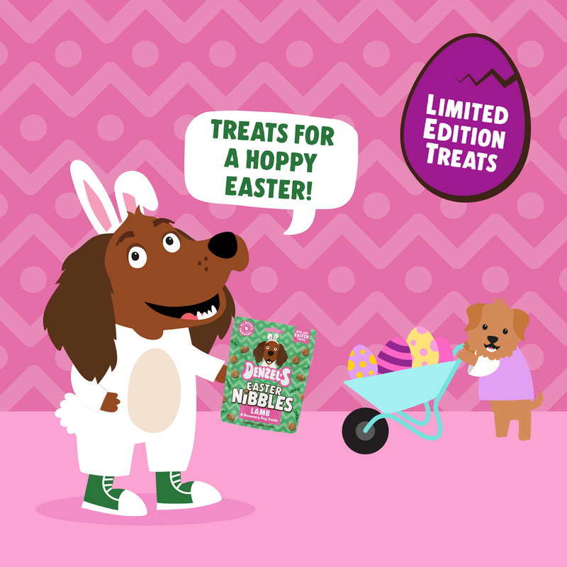 Easter Nibbles, Lamb & Rosemary Dog treats