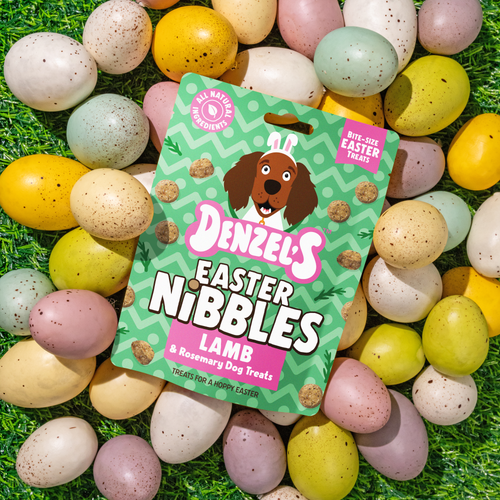 Easter Nibbles, Lamb & Rosemary Dog treats