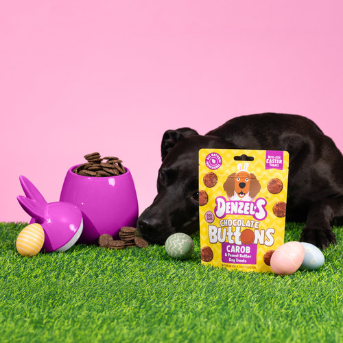 Chocolate Buttons, Carob & Peanut Butter Dog Treats