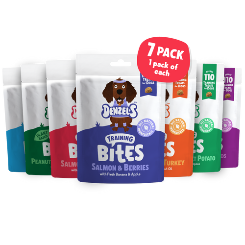 Training Bites Bundle