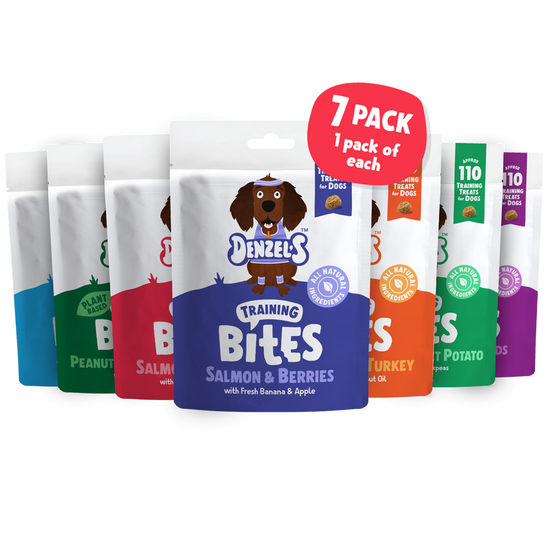 Training Bites Bundle