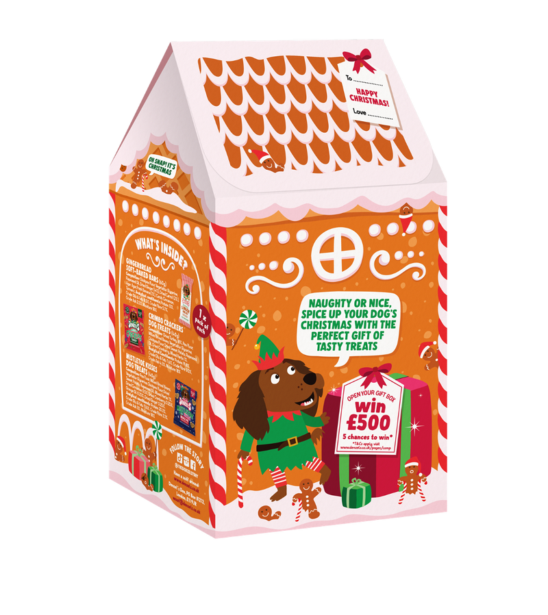 Gingerbread House Gift Box