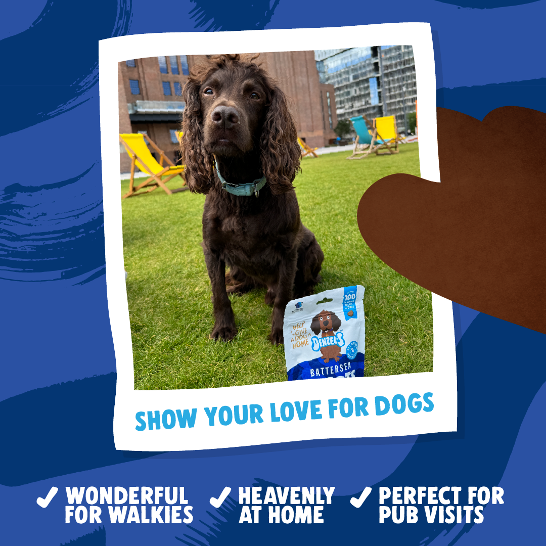Battersea Hearts Bundle