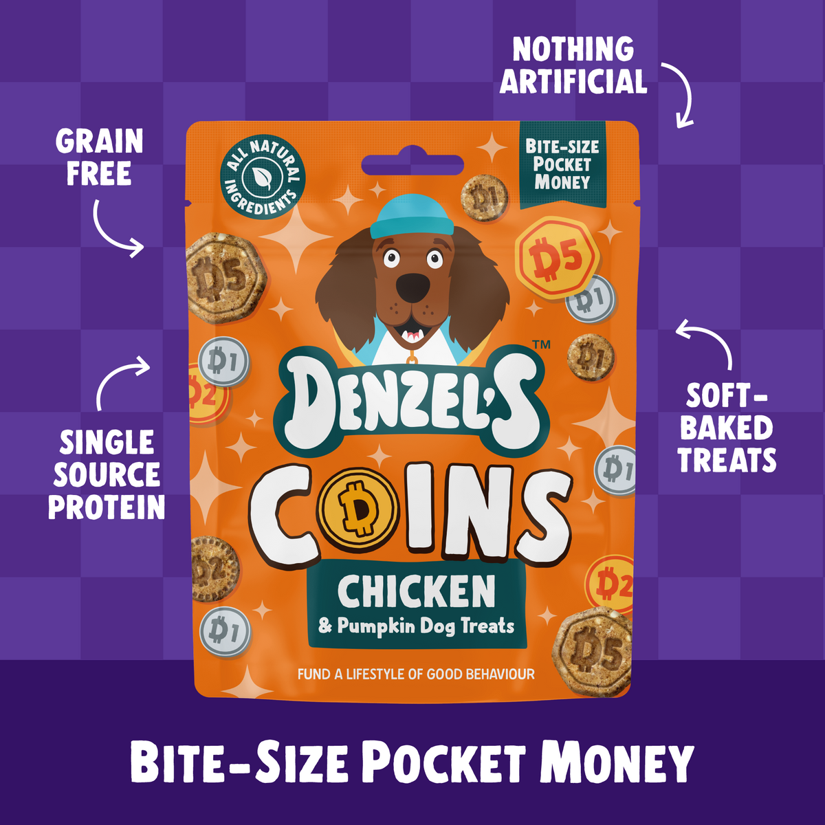 Coins - Chicken & Pumpkin Bites