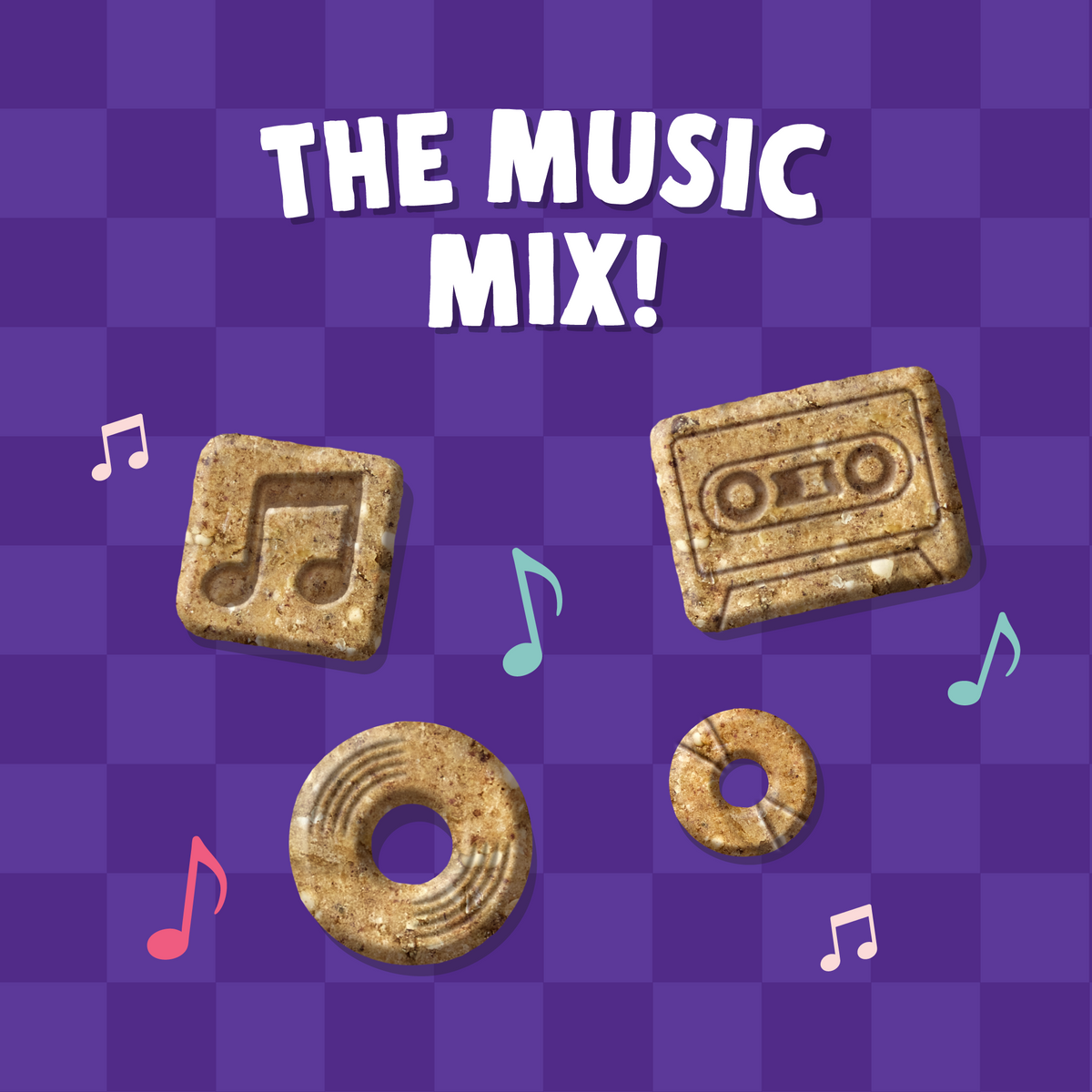 Mixtapes - Salmon & Berries Bites