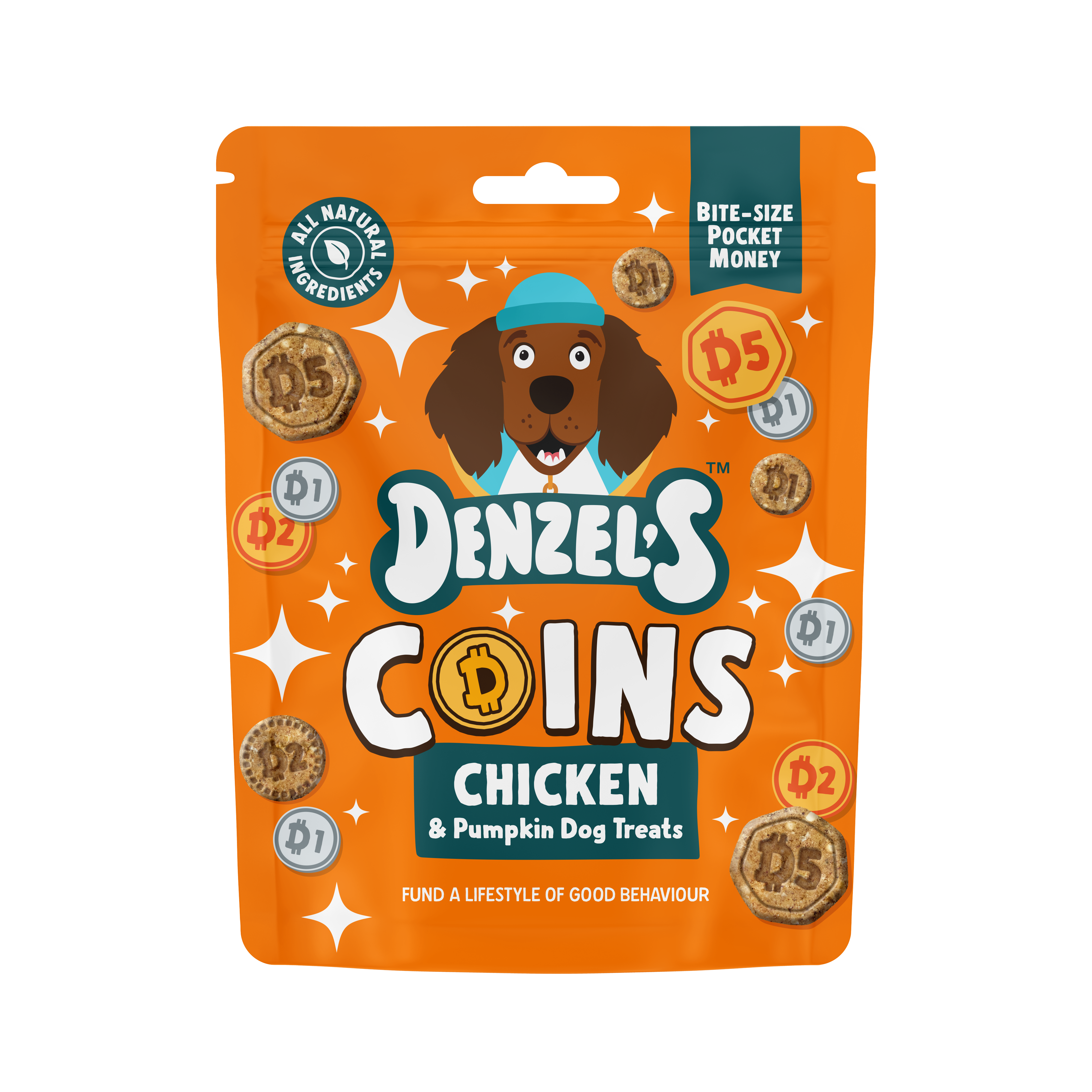 Coins - Chicken & Pumpkin Bites