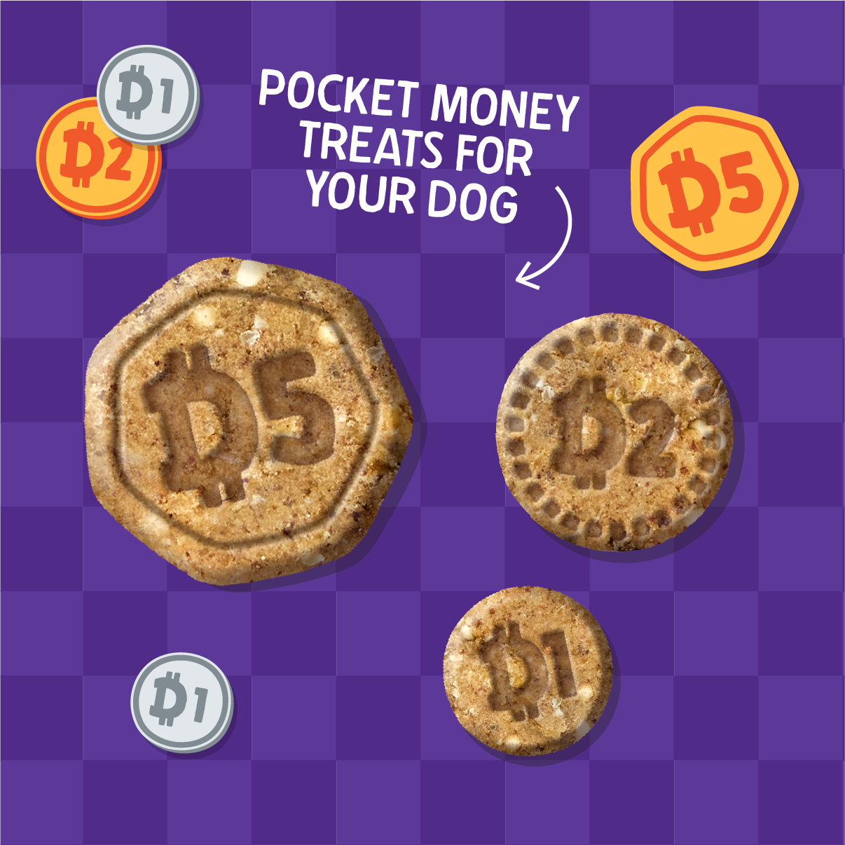 Coins - Chicken & Pumpkin Bites
