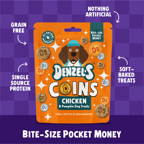 Coins - Chicken & Pumpkin Bites