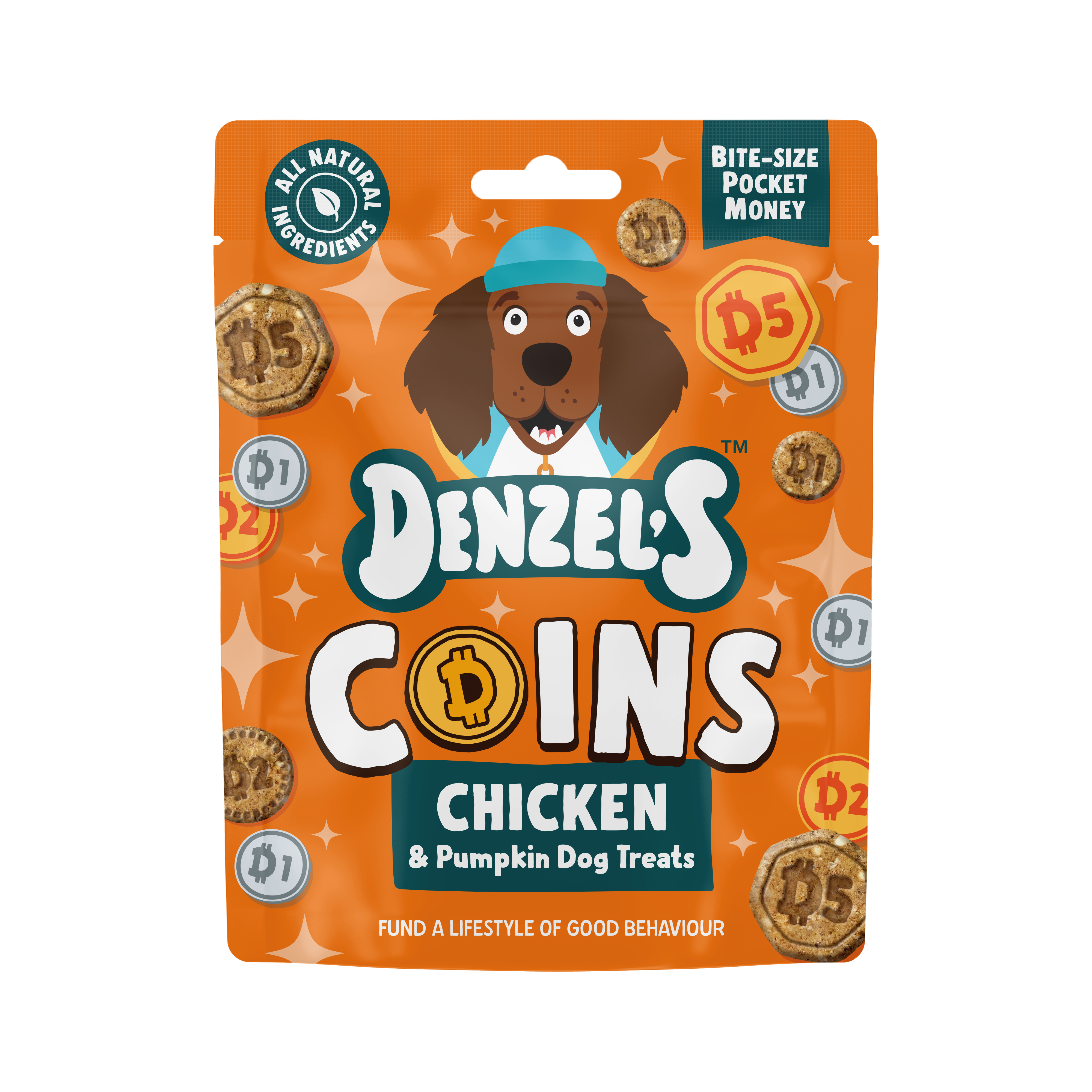 Coins - Chicken & Pumpkin Bites