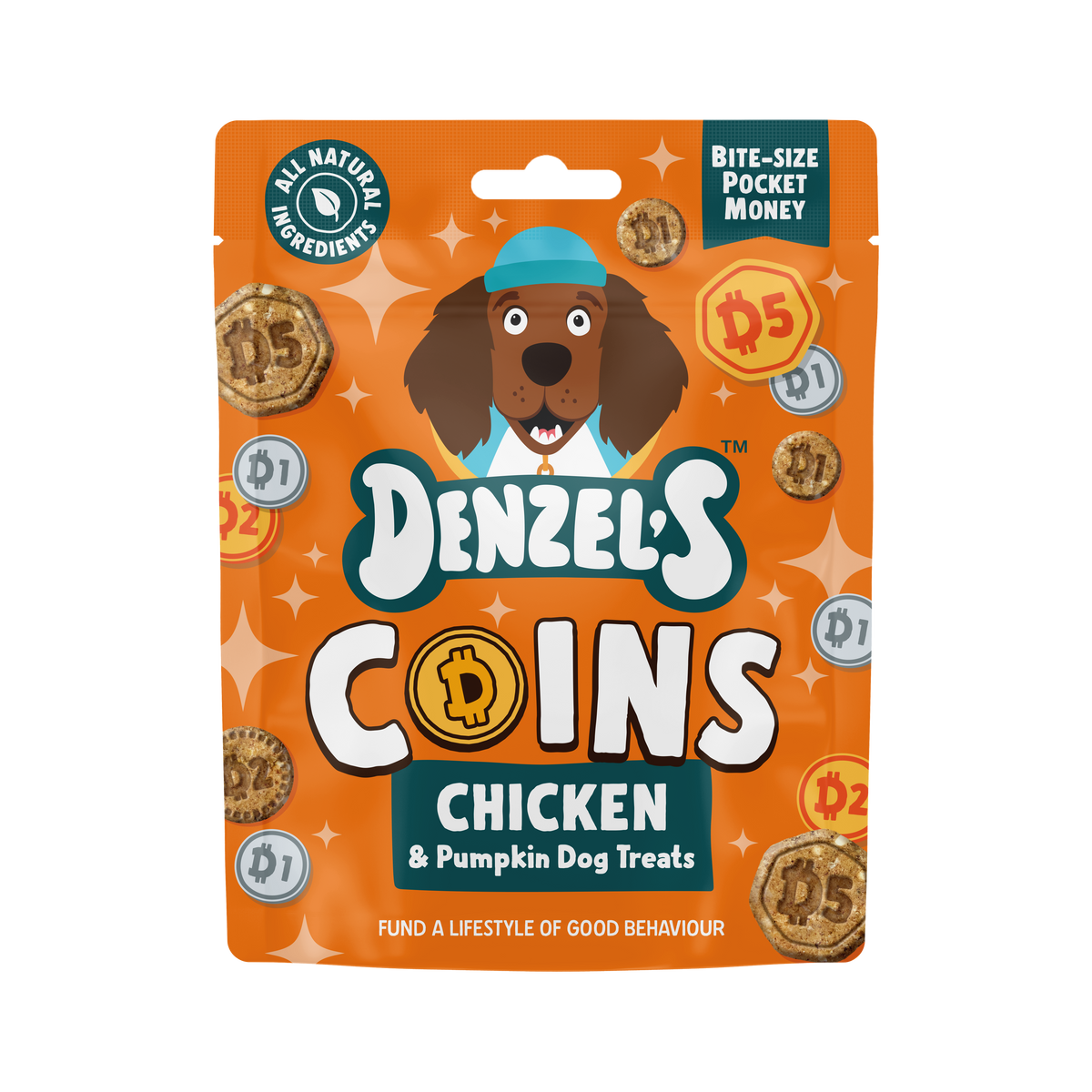 Coins - Chicken & Pumpkin Bites