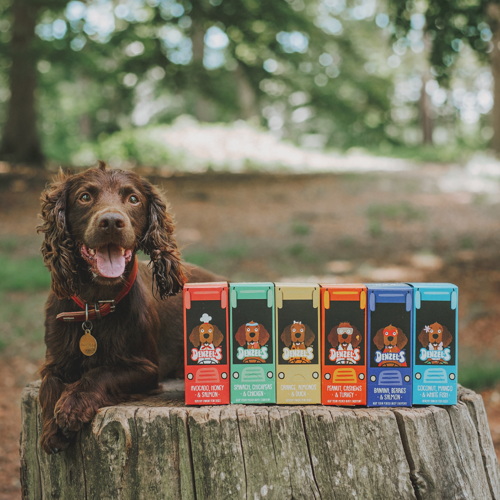 Meet Denzel Denzel's