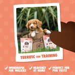 Puppy Bites - Low Cal Training Treats (100g)