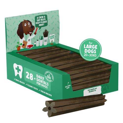 Chew treats for toothless dogs clearance