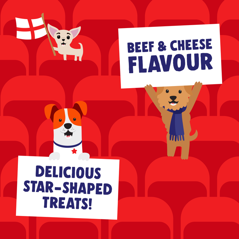 Footy Stars 3 packs bundle