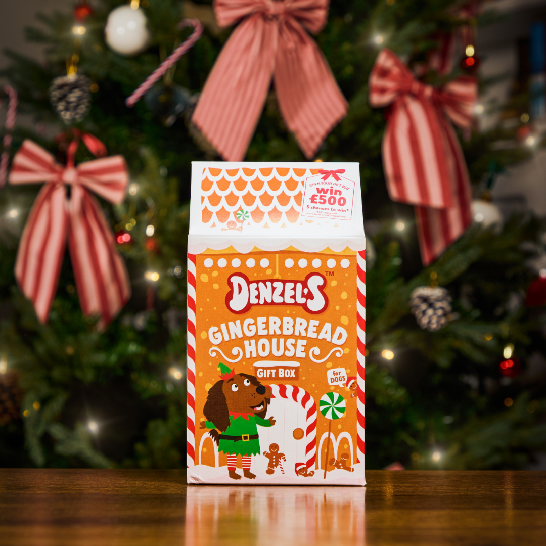 Gingerbread House Gift Box