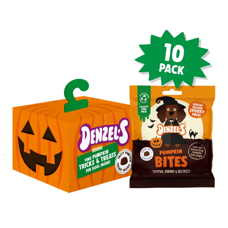 Jack-o'-lantern of Pumpkin Bites 10-Pack