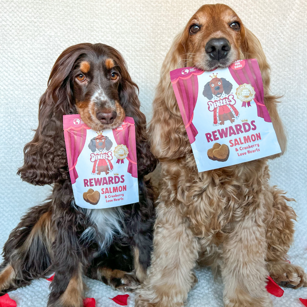 Denzel's HighValue Dog Rewards & Treats