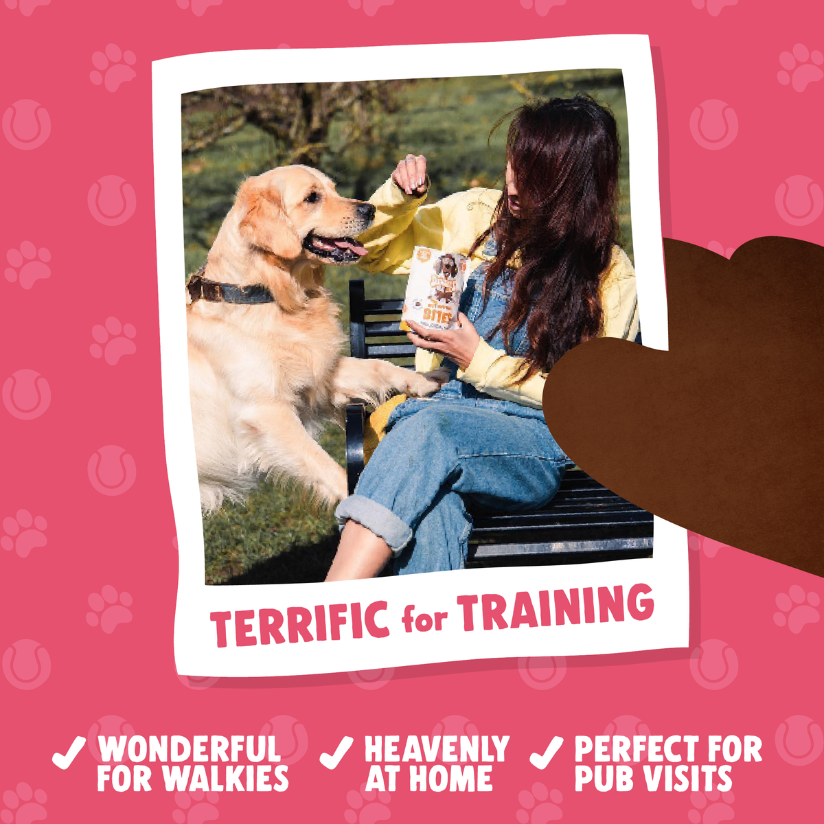 Salmon & Peanut Butter Puppy Training Bites