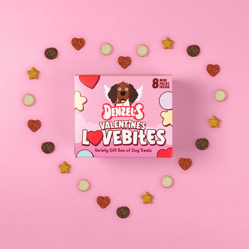 Valentine's Lovebites Variety Gift Box Dog Treats