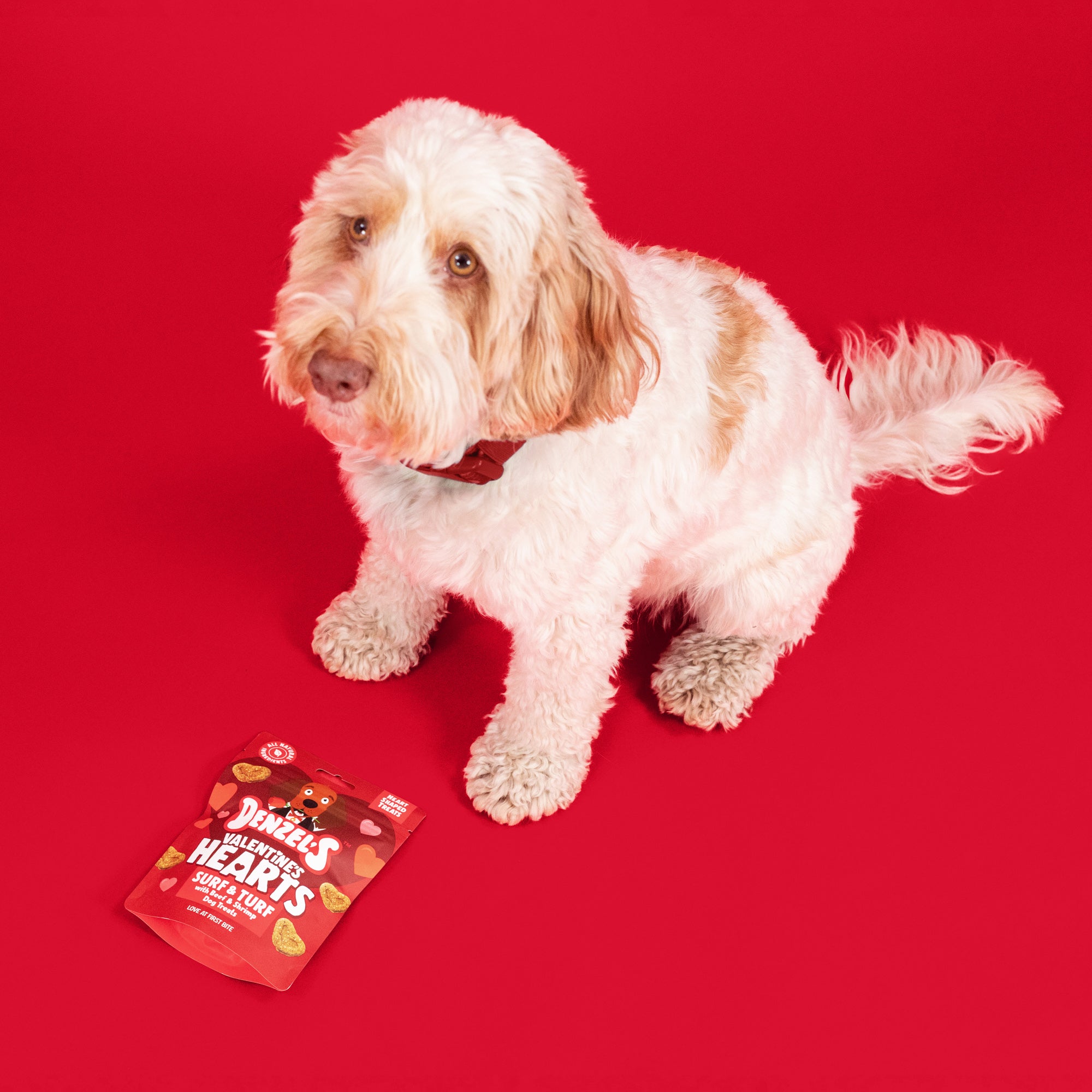 Valentine's Hearts Surf & Turf Dog treats – Denzel's