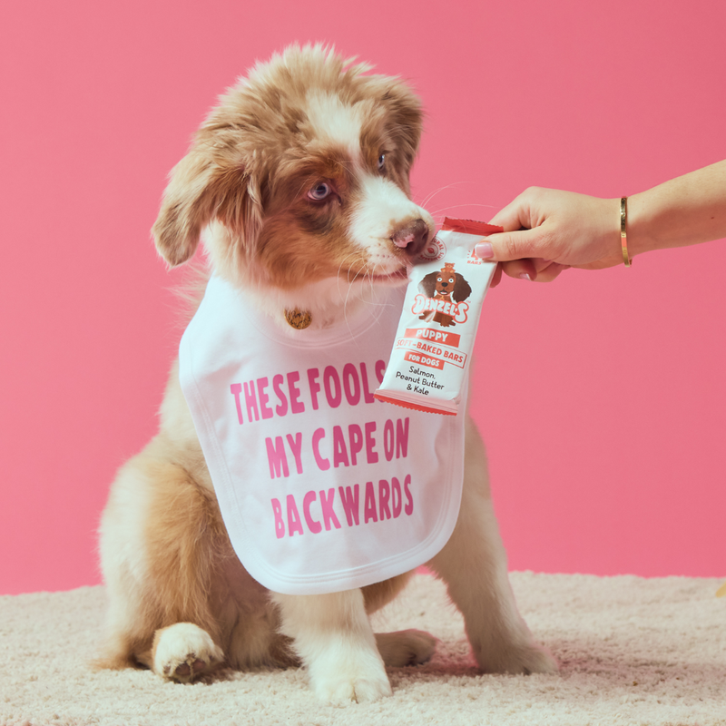 Puppy Soft-Baked Sticks