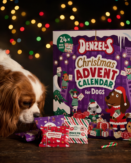 Denzel's advent calendar on a kitchen counter