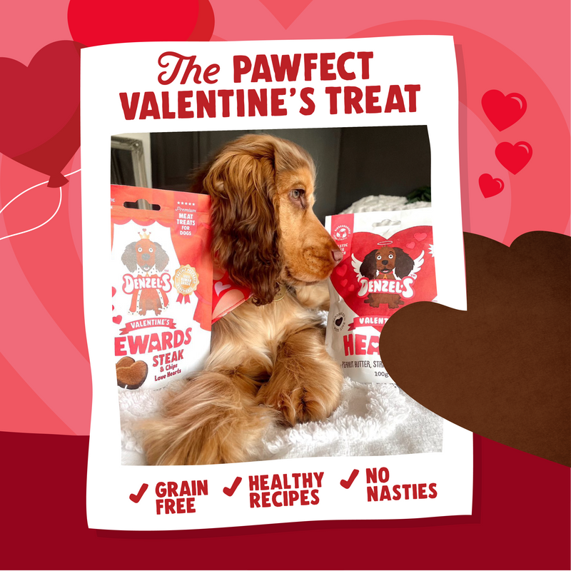 Valentine's Hearts Training Treats 10-Pack