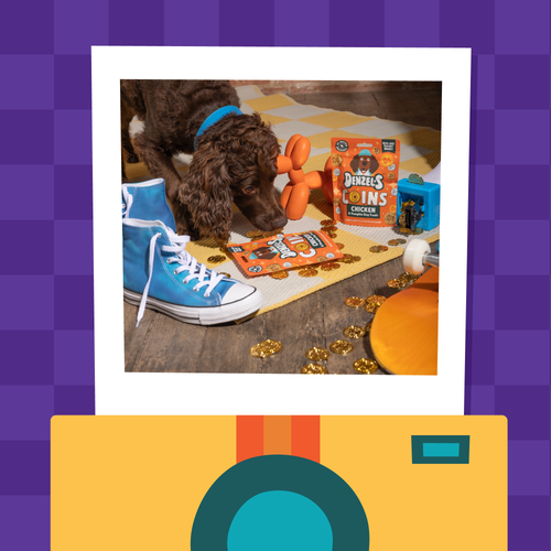 Coins - Chicken & Pumpkin Bites