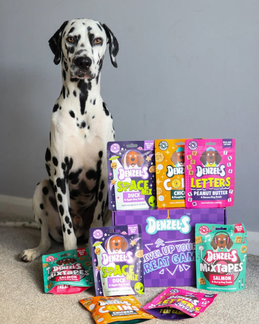 Dog opening the Denzel's advent calendar