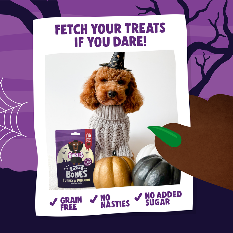 Tomb of Treats