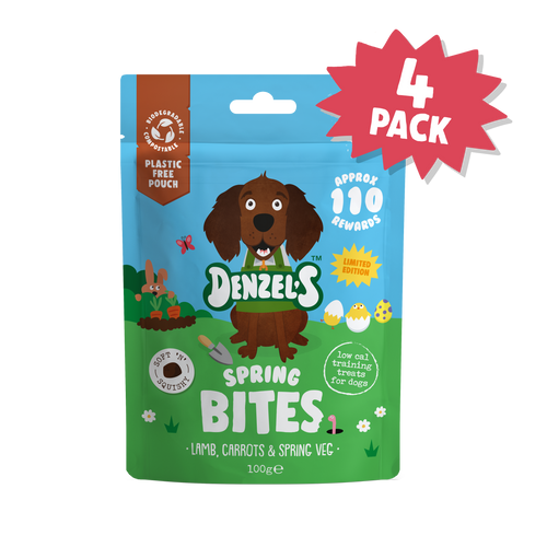 Spring Bites 4-Pack