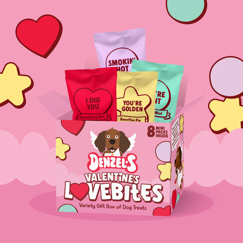 Valentine's Lovebites Variety Gift Box Dog Treats