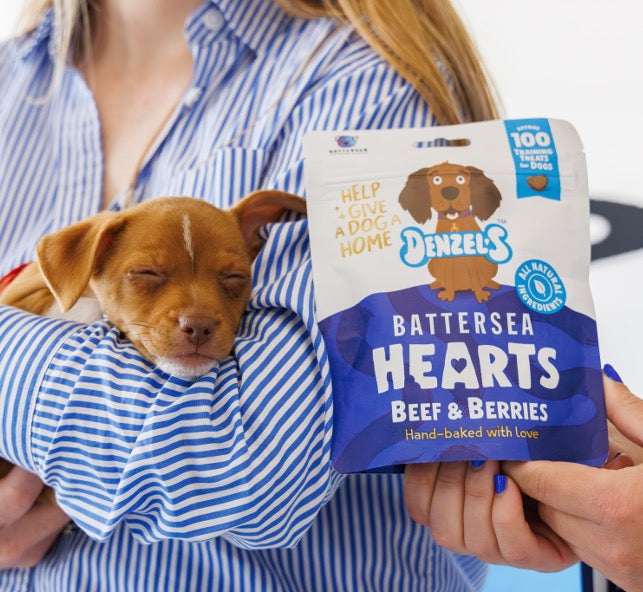 Battersea Dogs & Cats Home