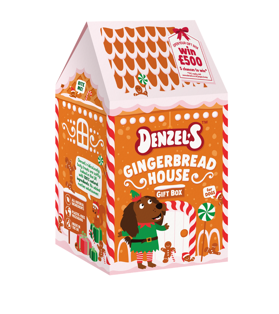 Gingerbread House Gift Box