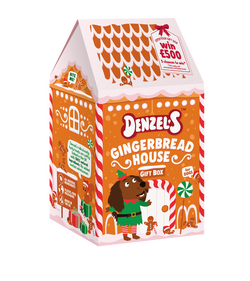 Gingerbread House Gift Box