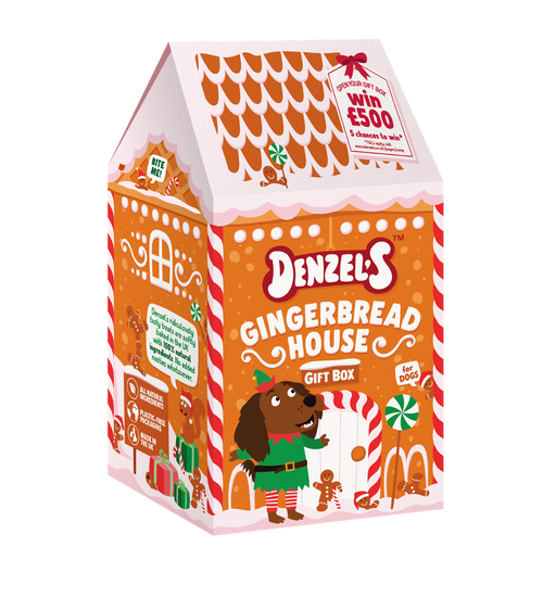 Gingerbread House Gift Box
