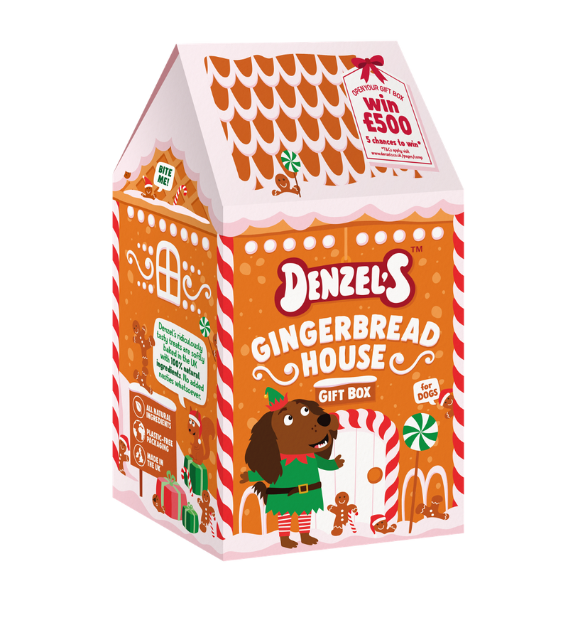 Gingerbread House Gift Box