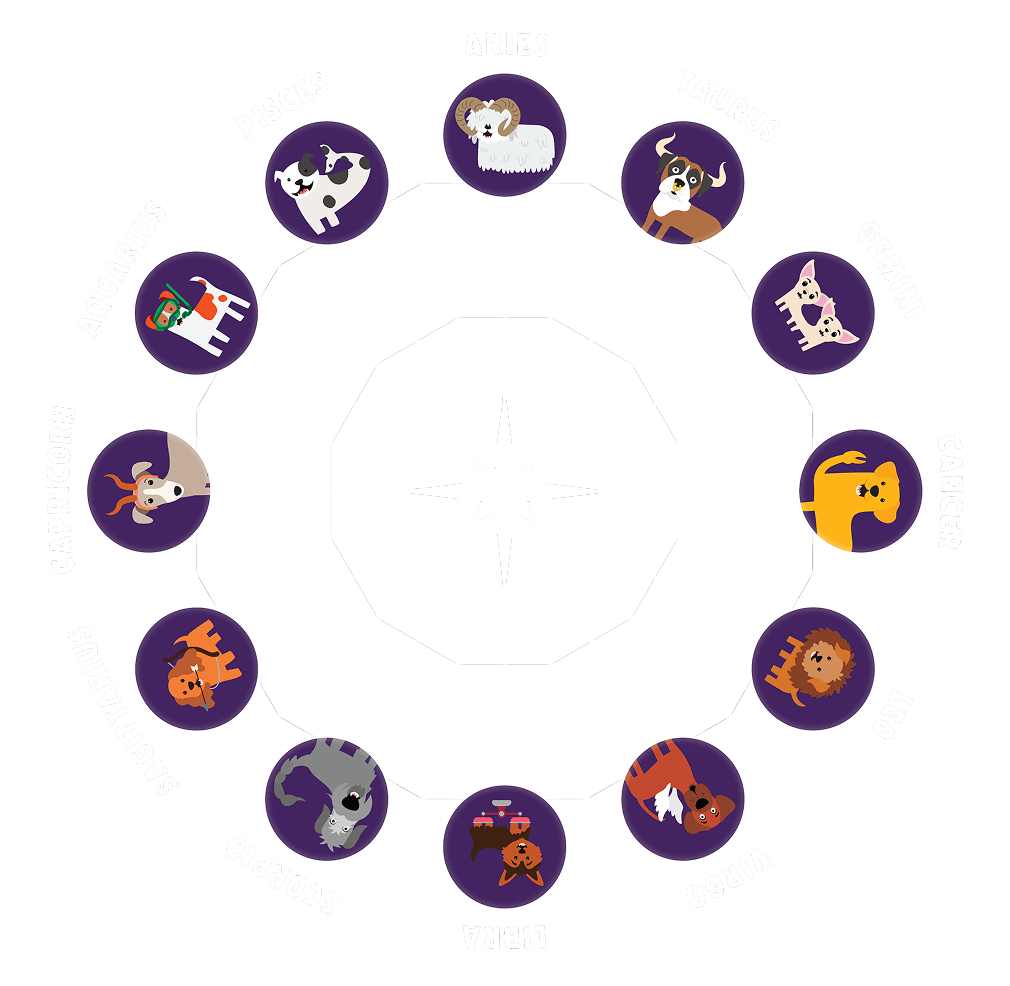 Horoscope Wheel