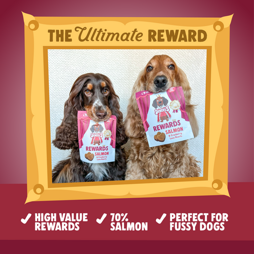 High value rewards for dogs deals